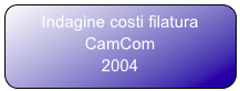Indagine costi filatura CamCom
2004